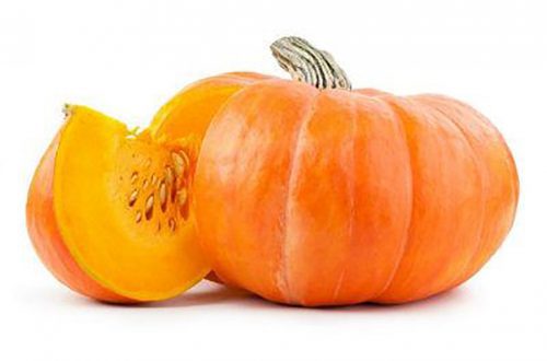Los beneficios de la calabaza en la dieta animal