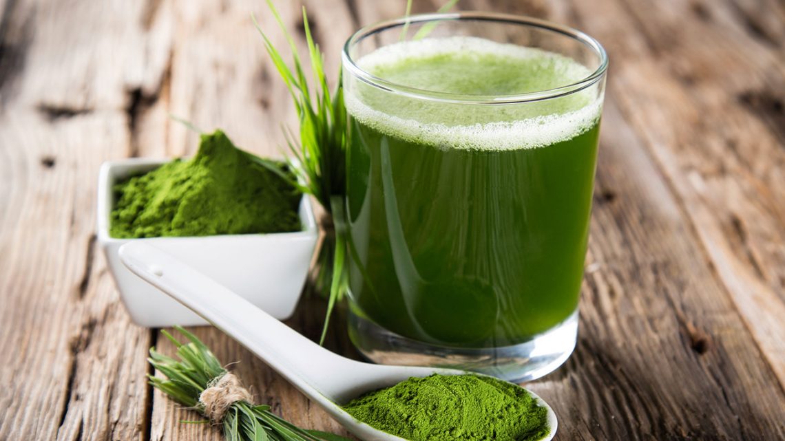 Espirulina, un excelente suplemento en la dieta canina