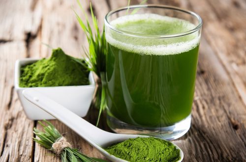 Espirulina, un excelente suplemento en la dieta canina