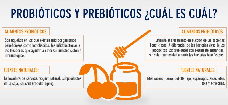 Probióticos y prebióticos