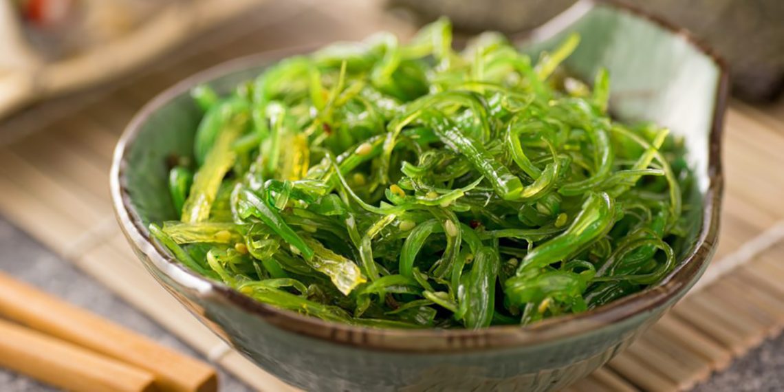 Las algas Kelp y sus beneficios