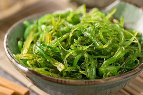 Las algas Kelp y sus beneficios