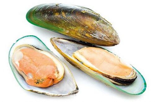 Los mejillones de labio verde