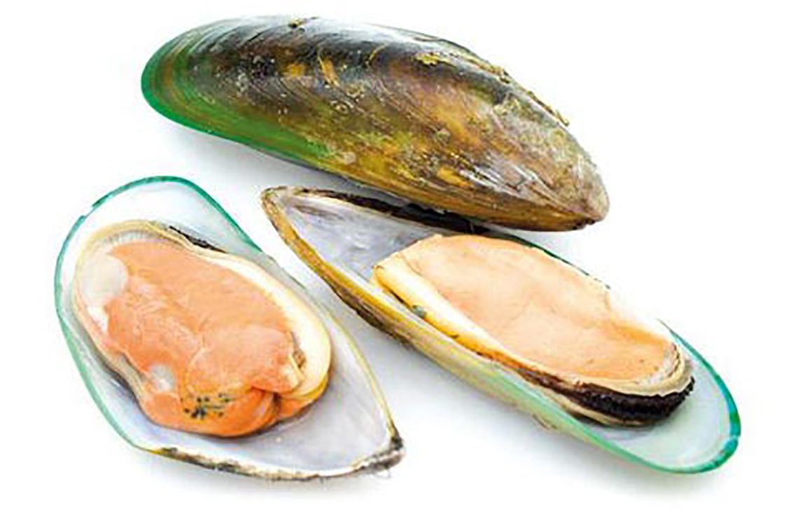 Los mejillones de labio verde