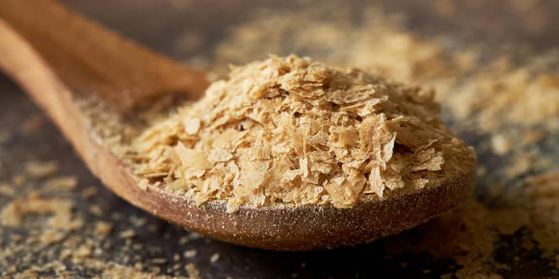 La levadura nutricional. Qué aporta a la dieta de nuestro perro