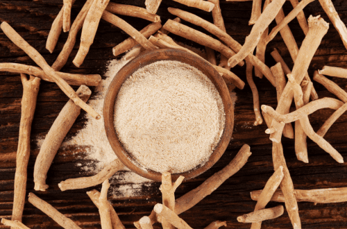 Beneficios de la ashwagandha para tu perro