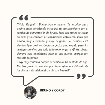 Testimonio: tras el cambio de alimentación, Bruno dejó atrás las cacas blandas y el bajo peso, ganando peso y energía