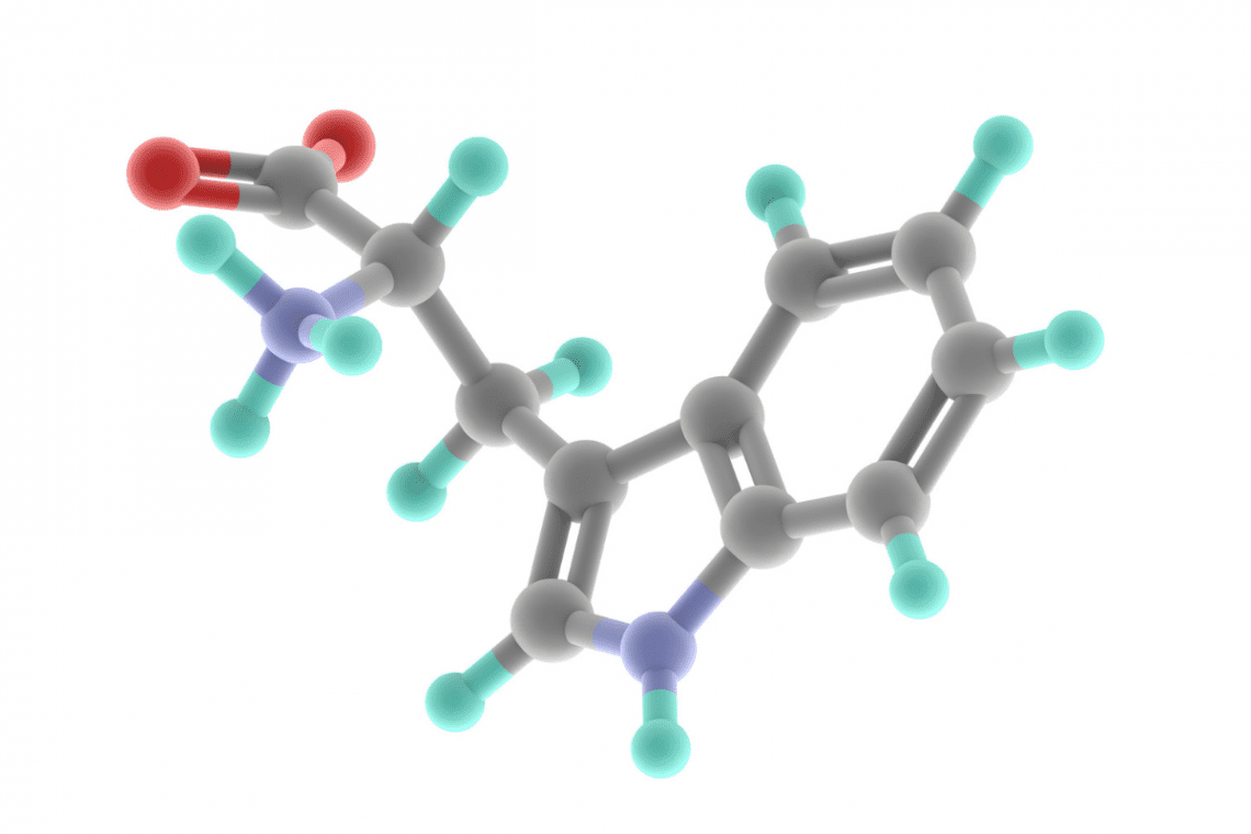El triptófano La nutrición ortomolecular para el estrés II
