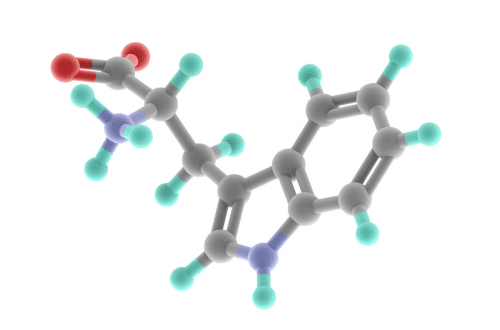 El triptófano La nutrición ortomolecular para el estrés II