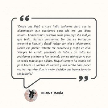 Testimonio: India dejó atrás sus diarreas constantes gracias al cambio a dieta natural guiado por Raquel