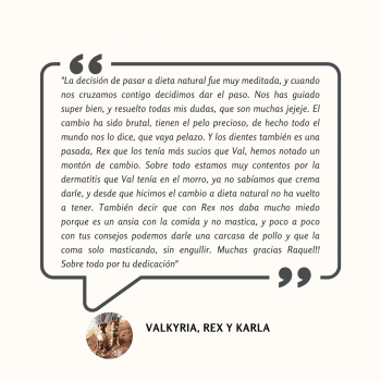 Valkyria, Rex y Karla