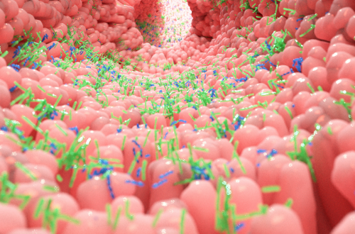 Minerales y aminoácidos para la disbiosis intestinal
