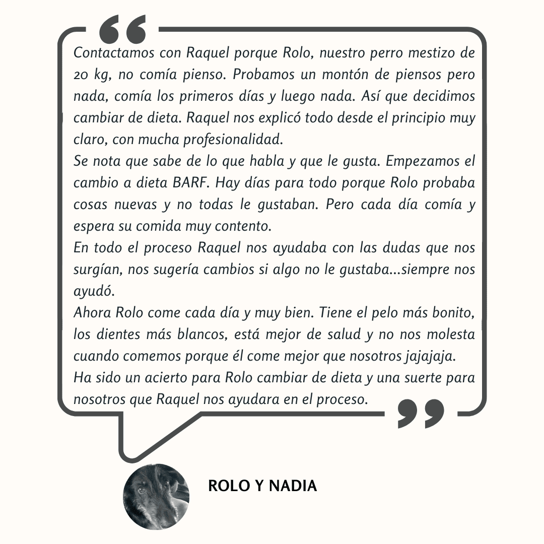 Rolo y Nadia
