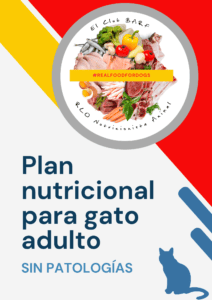 Plan nutricional para gato adulto