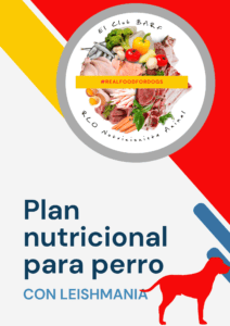 Plan Nutricional para perro con leishmania