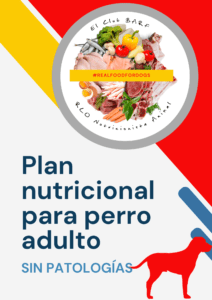 Plan Nutricional perro adulto sano