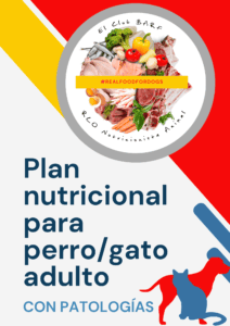 Plan Nutricional patologías