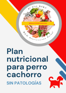 Plan Nutricional cachorro