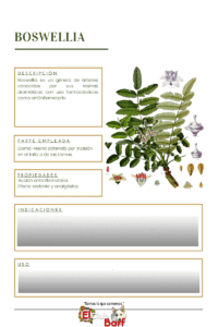 Ficha técnica Boswellia El Rincón BARF®