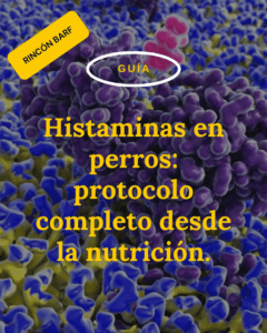 Histaminas en perros: protocolo completo desde la nutrición