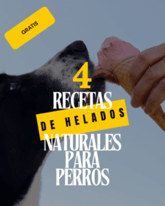 4 recetas de helados naturales para perros