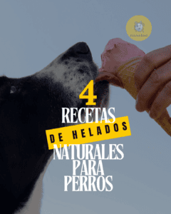 4 recetas de helados caseros para perros